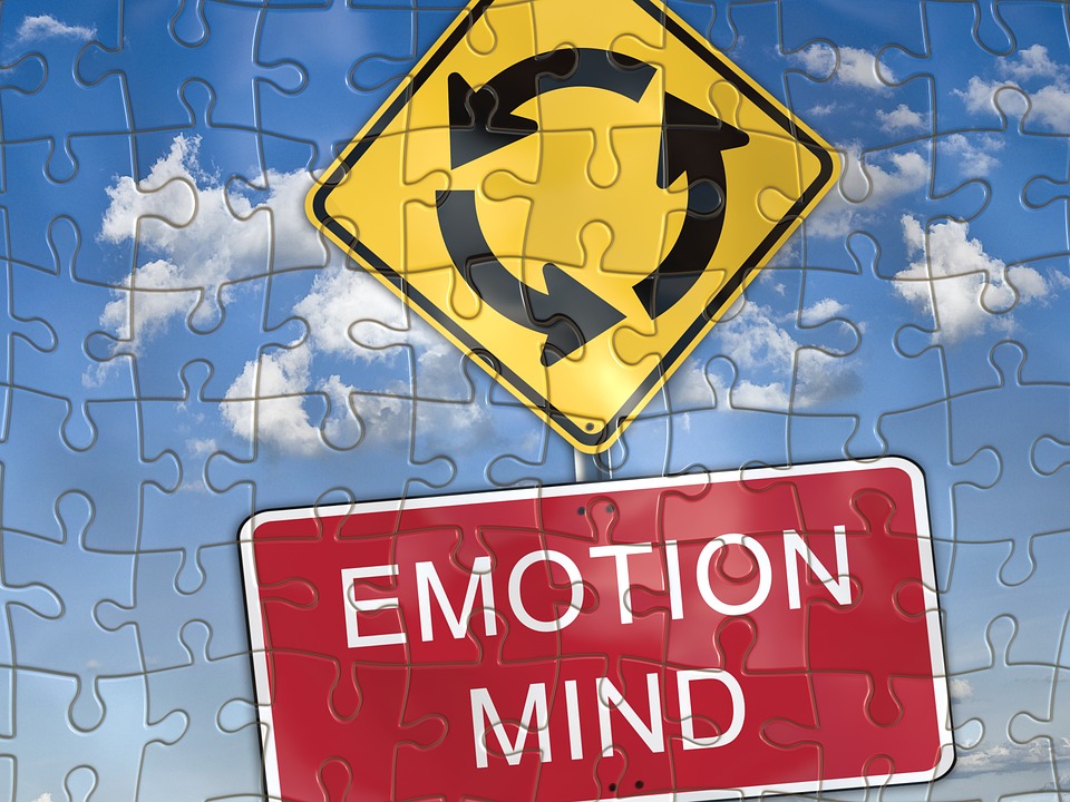 euristica dell'affettività: mente emoti