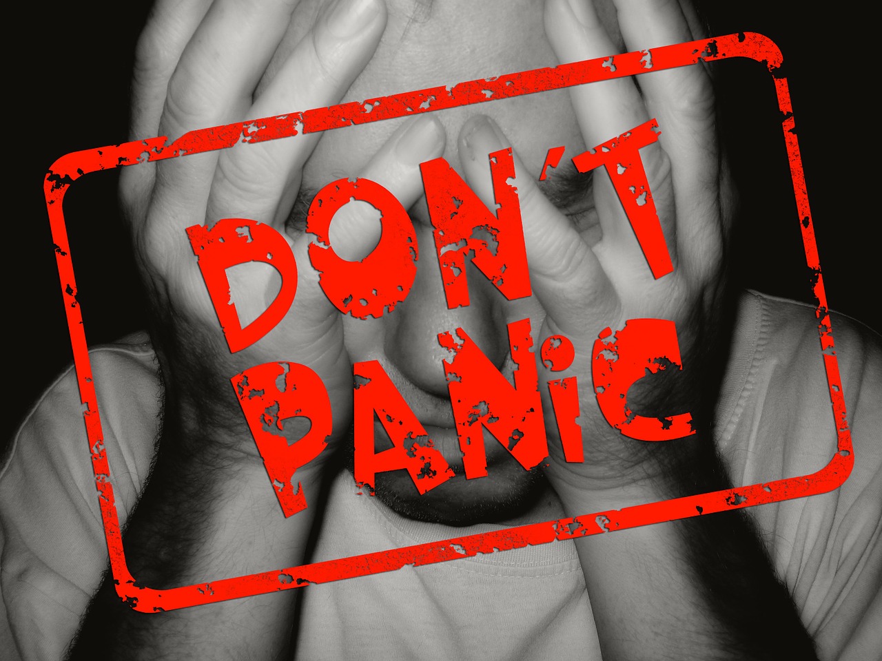 dont' panic