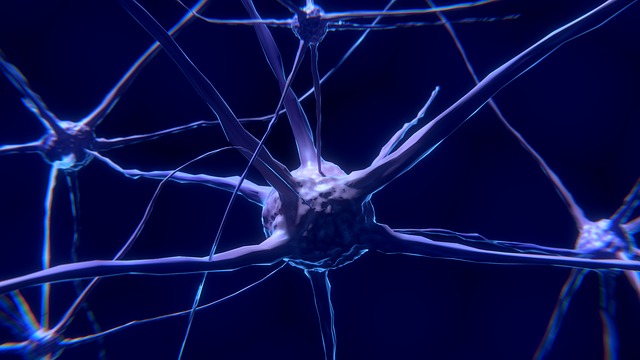  abilità linguistiche e cervello: connessione