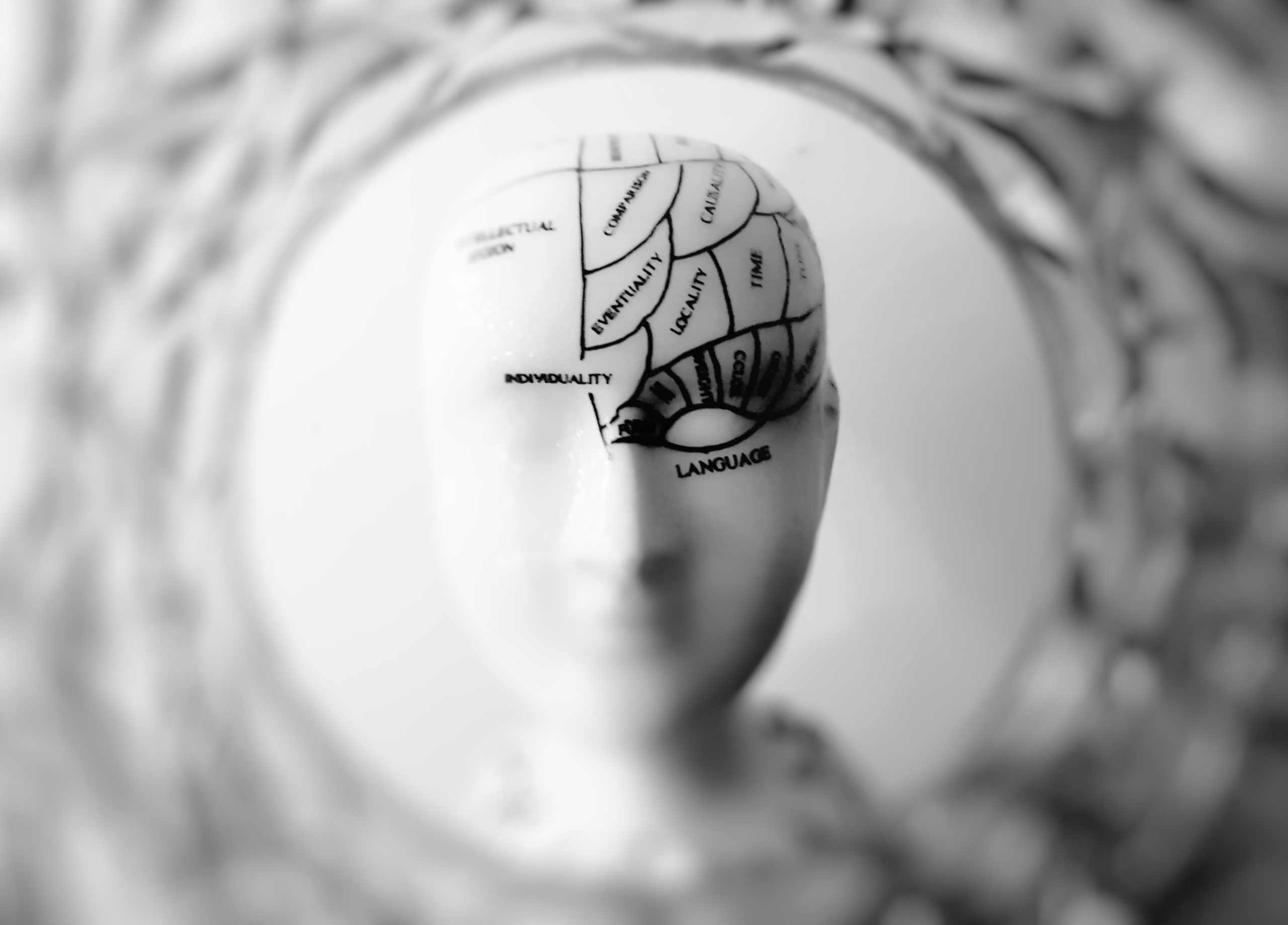Linguaggio e Cervello
