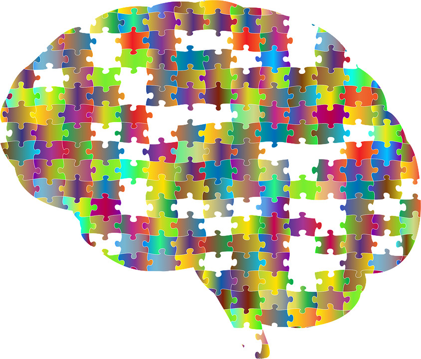 cervello e funzioni cognitive 