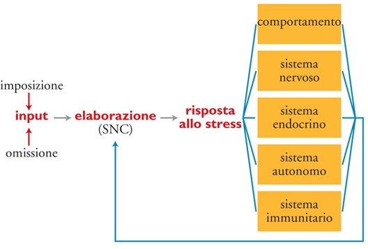 effetti dello stress 